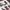 3D Decals Interior Aircraft Grumman F-14B Tomcat (for GWH Plastic Model Kit) Scale 1:48 KeliK K48066 USA