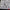 3D Decals Interior Aircraft Curtiss P-40N Warhawk (for Academy Plastic Model Kit) Scale 1:48 KeliK K48086 USA (WW2)