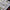 3D Decals Interior Aircraft Curtiss P-40N Warhawk (for Academy Plastic Model Kit) Scale 1:48 KeliK K48086 USA (WW2)