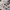 ARMSTRONG WHITWORTH WHITLEY MK.V. Interior 3D Decals (for Airfix Aircraft model kit) Scale 1:72 KeliK K72159