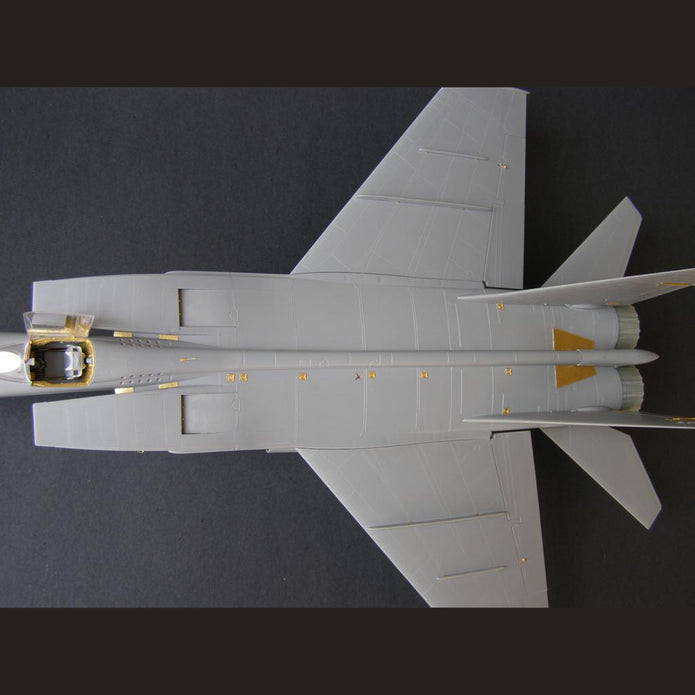 Mikoyan MiG-25, Exterior detailing set for aircraft model kit, Scale 1:48 Photoetch (Recommended for kit: ICM) Metallic Details MD4823