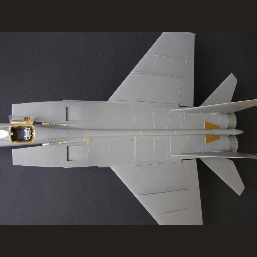 Mikoyan MiG-25, Exterior detailing set for aircraft model kit, Scale 1:48 Photoetch (Recommended for kit: ICM) Metallic Details MD4823