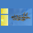 Yakovlev Yak-130 Detailing set for aircraft model Exterior Details, Interior Details, Seats, Wheel Bays (for Zvezda, Kitty Hawk) Scale 1:48 Metallic Details MD4833