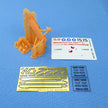 Cierva C,30 Aircraft model kit 3D-printed Scale 1:144 Metallic Details MDR14436