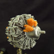 Pratt & Whitney R-2800, Detailing sets Engines (3D-Printed) Scale 1:32 Metallic Details MDR3243 - For Aircraft Kit Model