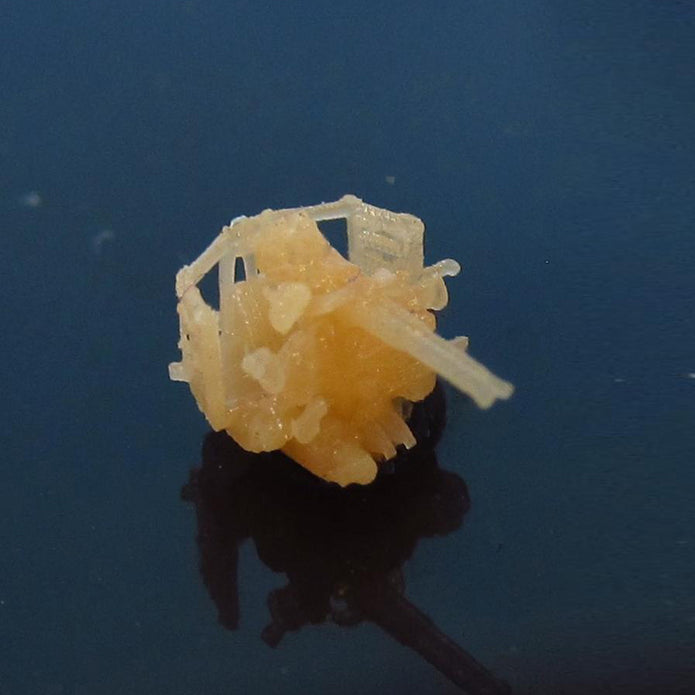 Twin 40 mm Bofors guns Scale 1:700 Metallic Details MDR70004