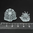 BMW Bramo Fafnir 323 Engine Scale 1:72 Metallic Details MDR72125