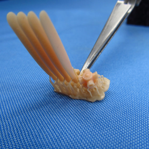 Douglas A-1 Skyraider, Propeller set (3D-Printed) Scale 1:72 Metallic Details MDR7283 - For Aircraft Model Kits