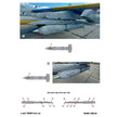 Foxbot 32-037 Decals Stencils for Missile S-24 with death wishes, Ukranian Air Forces Scale 1:32